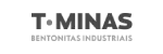 T Minas